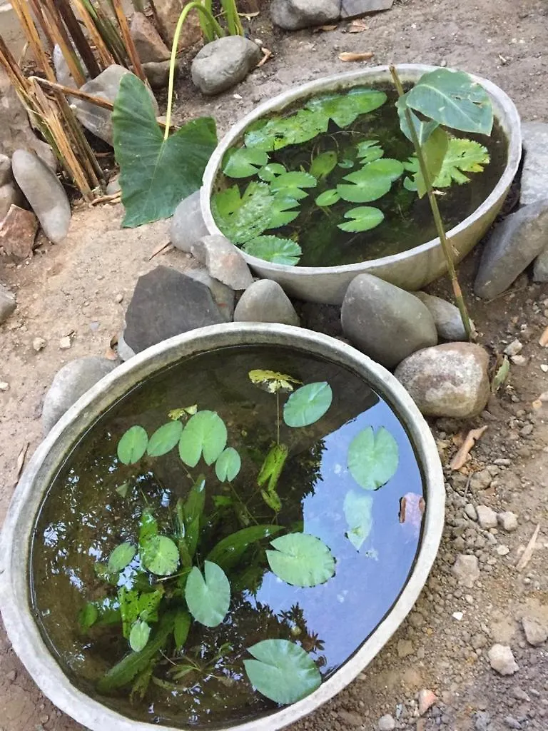 卡利 Wepa House旅舍