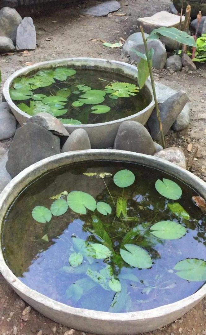 卡利 Wepa House旅舍 哥伦比亚