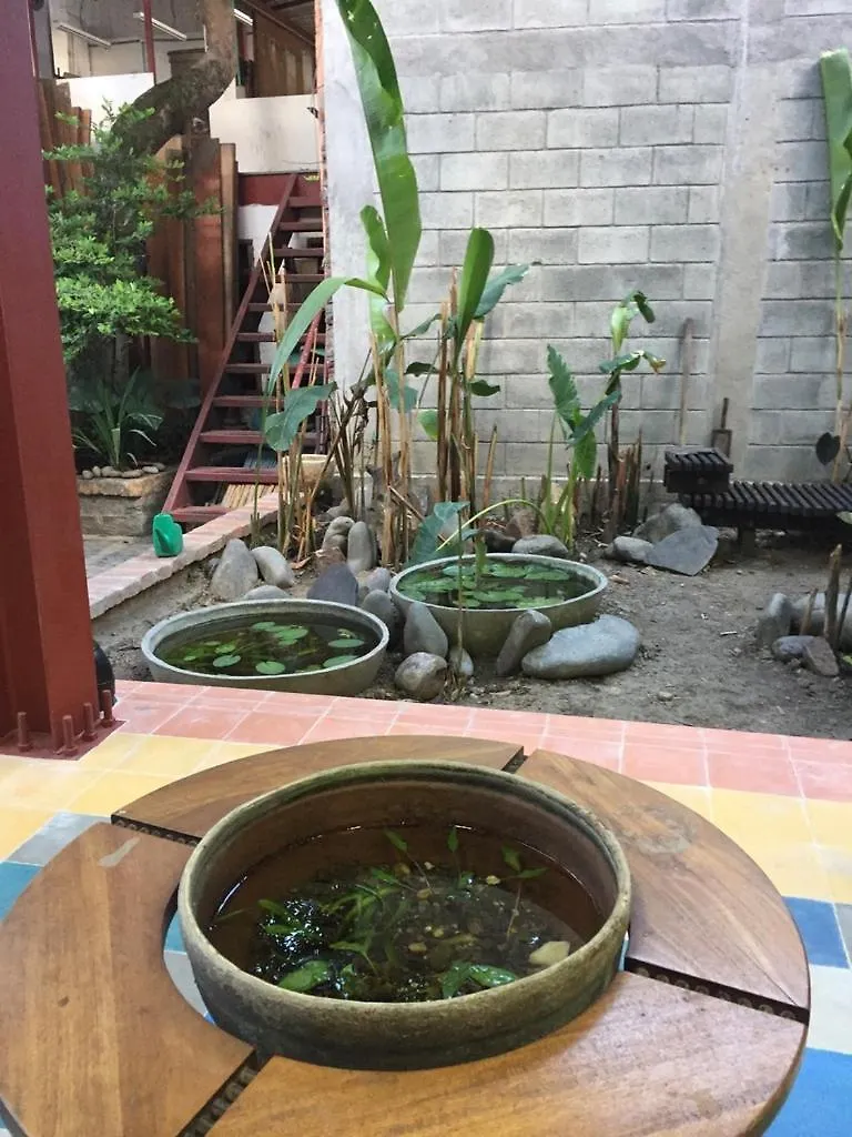卡利 Wepa House旅舍 旅馆
